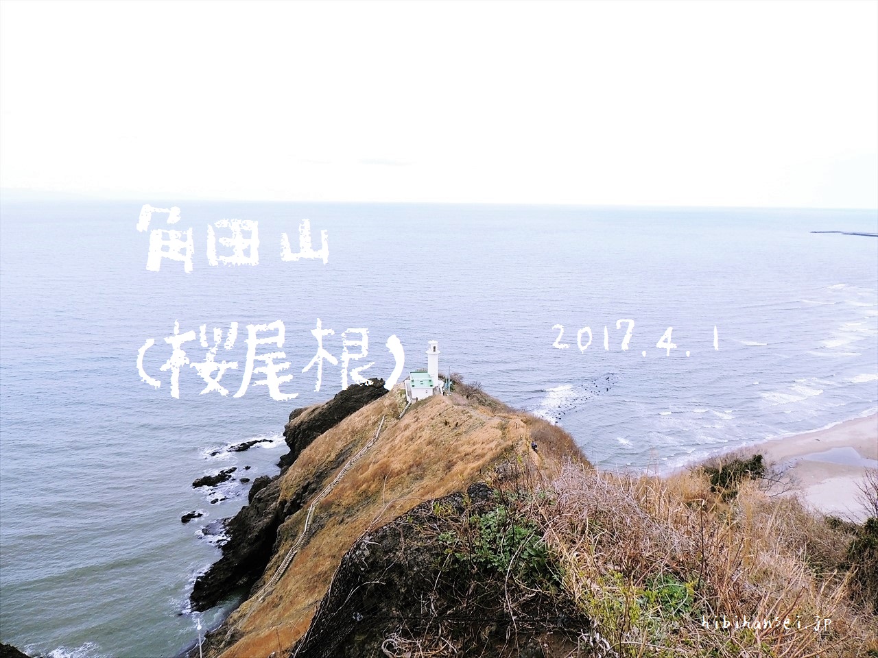 角田山　登山(桜尾根～灯台)　雪割草とカタクリの群生と日本海の幸を食らう旅(2017.4.1)