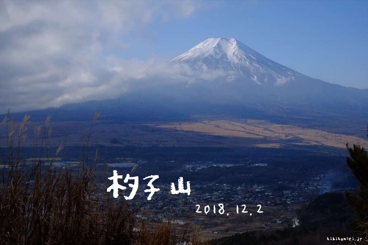 杓子山と高座山　登山(鳥居地峠)　スリルに満ちた急坂と富士山の大展望