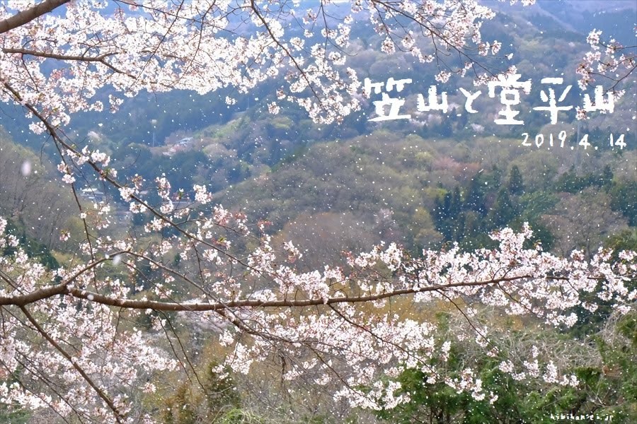 堂平山と笠山　登山　虎山の弐千本桜と花盛りの秩父は春爛漫の峰