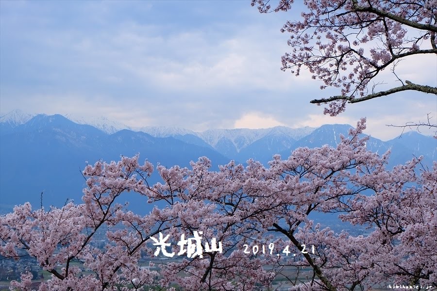 光城山　登山　桜の登山道を登る！安曇野の春の風物詩は北アルプスの大絶景