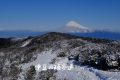 達磨山と金冠山　雪山登山　雪化粧した伊豆山稜歩道は富士山と海の大絶景