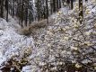焼森山　ほふく前進で進め！無限ミツマタと雪景色とほくほくおにぎりの花見散歩