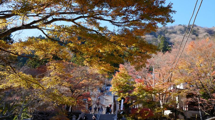 【丹沢】大山の紅葉を攻略ぜよ！秋登山を満喫する無限階段と大絶景の旅
