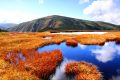 【新潟】平ヶ岳　真の日本三大紅葉はここだ！日本の秘境は紅葉と池塘の帝国　登山