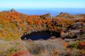 【九重】秋の大船山　ギネス級の紅葉とワンダホーな御池　とにかく明るい原生林を行く登山