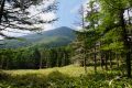 【八ヶ岳】蓼科山登山　食べたきゃ登れ！　夏の暑さにも負ける山頂カレー