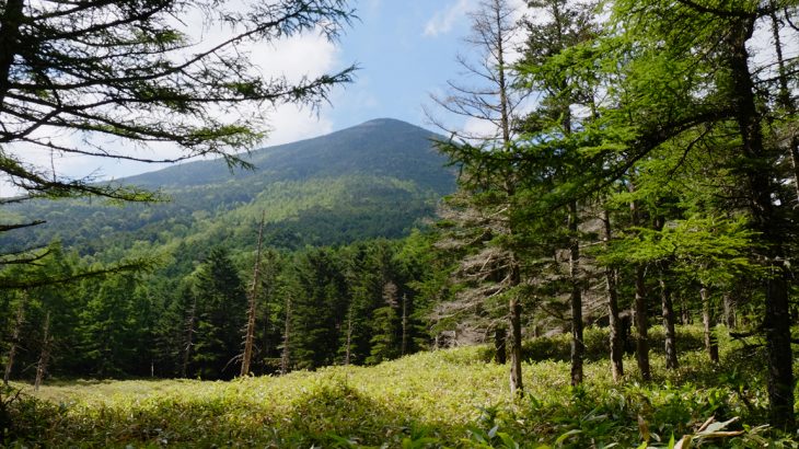 【八ヶ岳】蓼科山登山　食べたきゃ登れ！　夏の暑さにも負ける山頂カレー