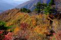 【新潟】秋の中ノ岳登山③　きょとん顔になれ！越後三山最高峰からの絶景とすさまじい紅葉の旅