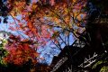 【群馬】黒滝山登山①　不動寺の紅葉と西上州一望の絶景　馬の背にヒヨった激辛ハイキング