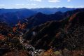 【群馬】黒滝山登山②　ブタちゃんと通じ合えたケセラセラな下仁田の旅