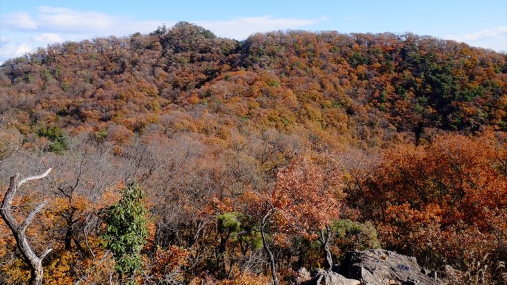 【栃木】両崖山登山①　織姫神社の紅葉と岡田のパンヂュウ　足利の町並みが広がる縦走路