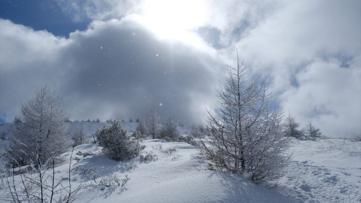 【長野】鉢伏山　雪山登山①　霧氷化したカラマツと小腹パフォーマンス　山頂は恐ろしく曇天