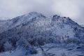 【中央アルプス】将棋頭山(後編)　餅は餅屋の雪山登山　米の高騰に悲鳴をあげた暴風の山頂