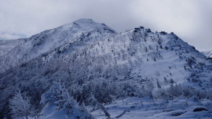 【中央アルプス】将棋頭山(後編)　餅は餅屋の雪山登山　米の高騰に悲鳴をあげた暴風の山頂