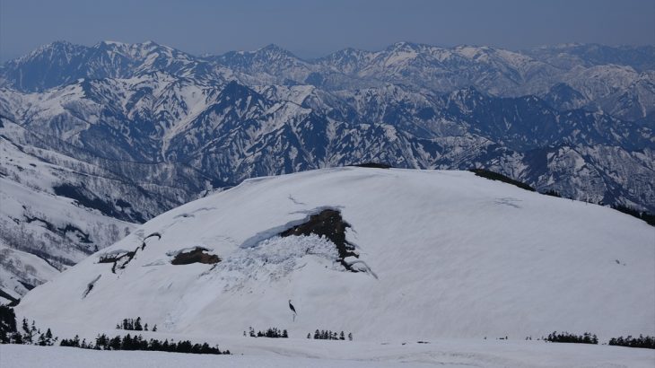 【新潟】巻機山(前編)　北陸の春はまだまだ冬山　遅咲きの桜と大展望の登山