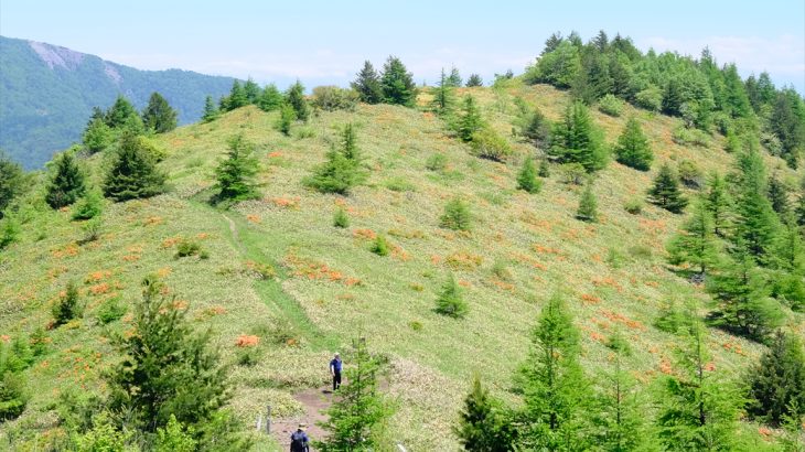 【長野】湯ノ丸山と烏帽子岳(後編)　レンゲツツジ最＆高！　猛暑の山をメルヘンに染める旅