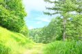 【長野】斑尾山　北信五岳の聖帝サウナー　ビッグゲレンデを直登する真夏の登山