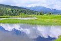 【新潟】苗場山　真夏は小赤沢3合目から登る！　手が届きそうな夏雲とワタスゲ咲く山頂湿原