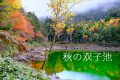 【八ヶ岳】秋の双子池の紅葉(前編)　北横岳から大岳へ　池の水ぜんぶ抜く大作戦