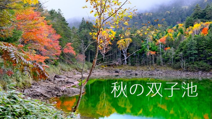 【八ヶ岳】秋の双子池の紅葉(前編)　北横岳から大岳へ　池の水ぜんぶ抜く大作戦