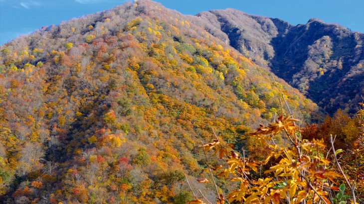 【新潟】秋の粟ヶ岳（前編）　圧倒的な紅葉ストーリーズ　ストローが指す方向は水場