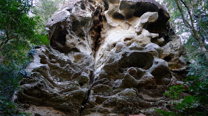 【宮崎】双石山（前編）　宮崎市の名物は金柑たまたまと天狗岩　ロープだらけの急登たまたま