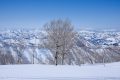 【新潟】冬の浅草岳（後編）　鬼が面山の大岩壁とどこまでも続く白い山脈　わかんの紐が切れて踏み抜き地獄