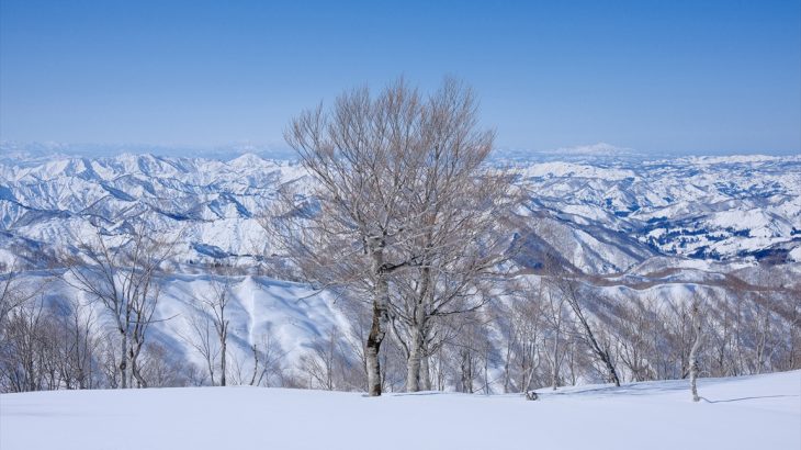 【新潟】冬の浅草岳（後編）　鬼が面山の大岩壁とどこまでも続く白い山脈　わかんの紐が切れて踏み抜き地獄